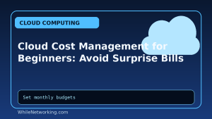 Cloud Cost Management for Beginners: Avoid Surprise Bills
