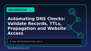 Automating DNS Checks: Validate Records, TTLs, Propagation and Website Access