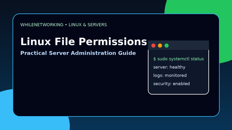 Linux file permissions chmod chown ownership tutorial for IT professionals
