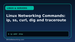Linux Networking Commands: ip, ss, curl, dig and traceroute
