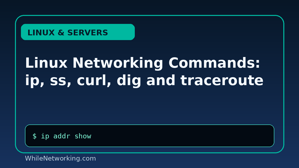 Linux Networking Commands: ip, ss, curl, dig and traceroute