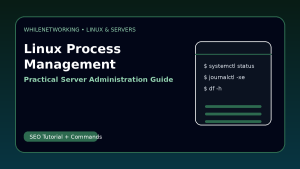 Linux server process management ps top htop kill and nice explained