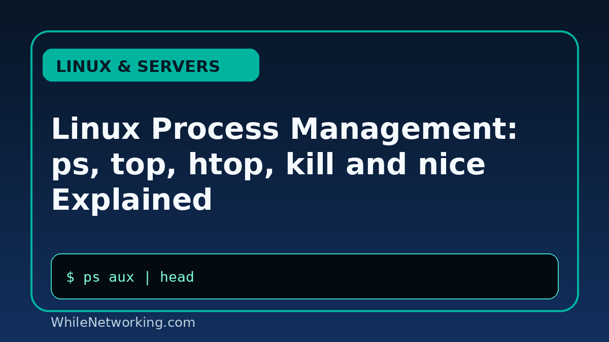 Linux Process Management: ps, top, htop, kill and nice Explained