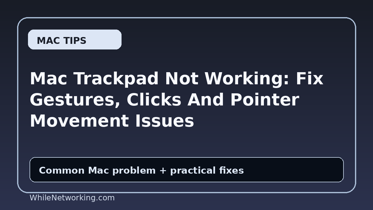 Mac Trackpad Not Working: Fix Gestures, Clicks And Pointer Movement Issues