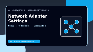 Network adapter settings explained IP DNS duplex and speed beginner tutorial