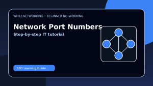 Network port numbers explained HTTP HTTPS DNS RDP SSH basics