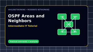 OSPF explained for intermediate learners areas neighbors and LSAs