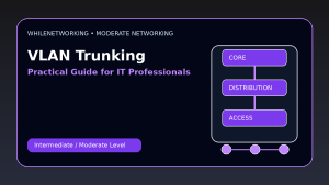 VLAN trunking access ports trunk ports and 802.1Q tagging tutorial