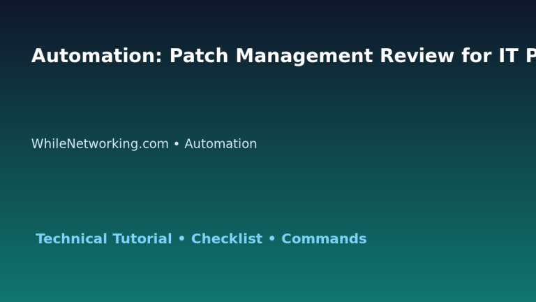 Automation: Patch Management Review for IT Professionals featured image