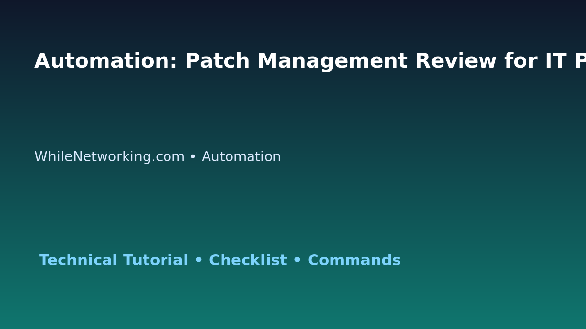 Automation: Patch Management Review for IT Professionals featured image
