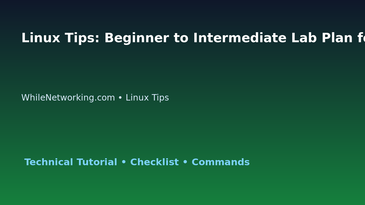 Linux Tips: Beginner to Intermediate Lab Plan for IT Professionals featured image