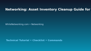 Networking: Asset Inventory Cleanup Guide for IT Professionals featured image