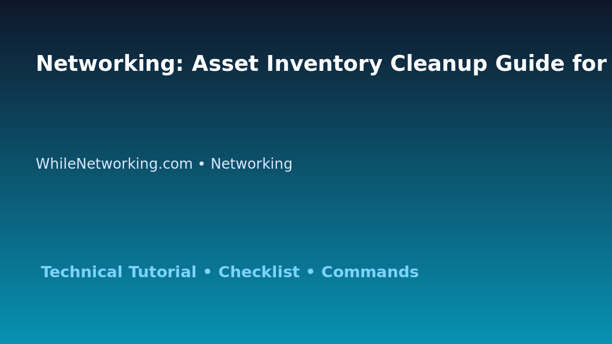 Networking: Asset Inventory Cleanup Guide for IT Professionals featured image