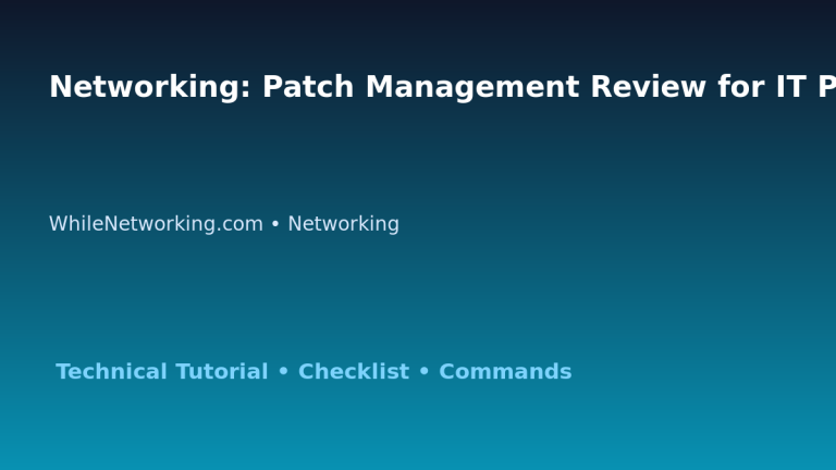 Networking: Patch Management Review for IT Professionals featured image