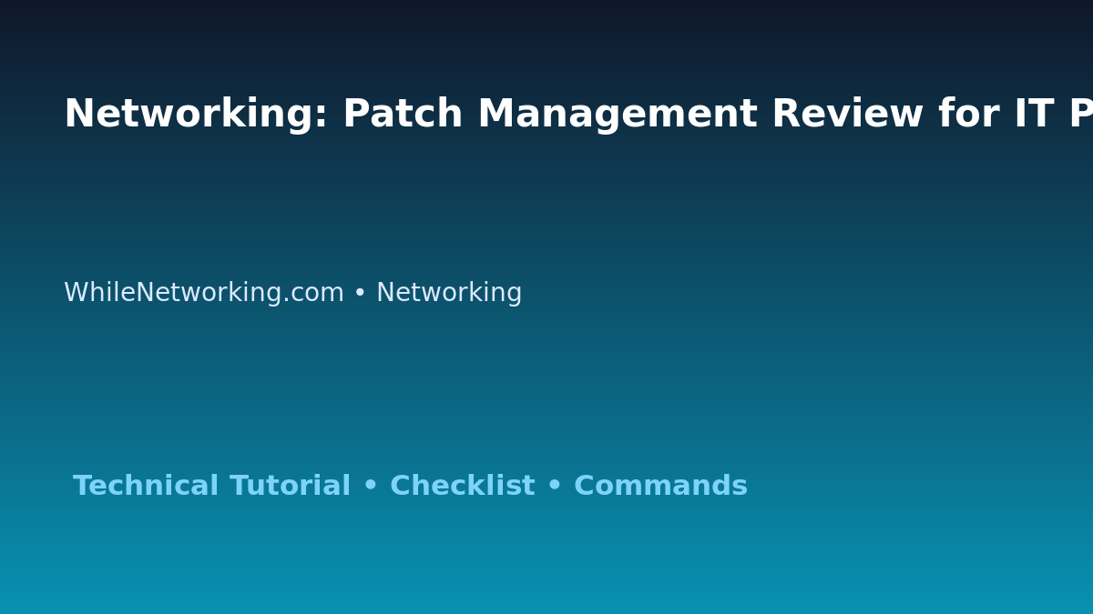 Networking: Patch Management Review for IT Professionals featured image