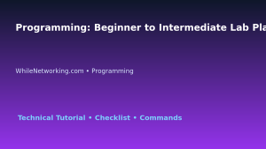 Programming: Beginner to Intermediate Lab Plan for IT Professionals featured image