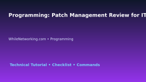 Programming: Patch Management Review for IT Professionals featured image