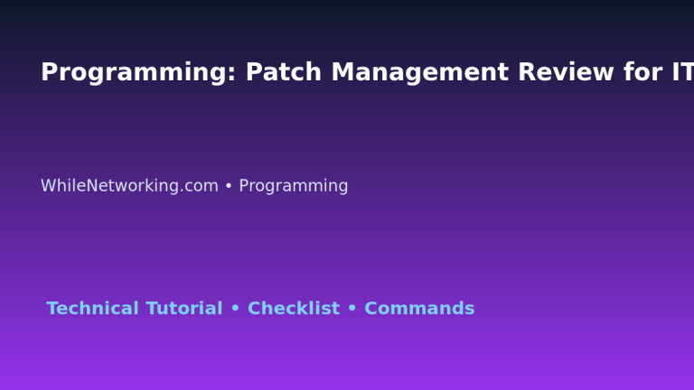 Programming: Patch Management Review for IT Professionals featured image