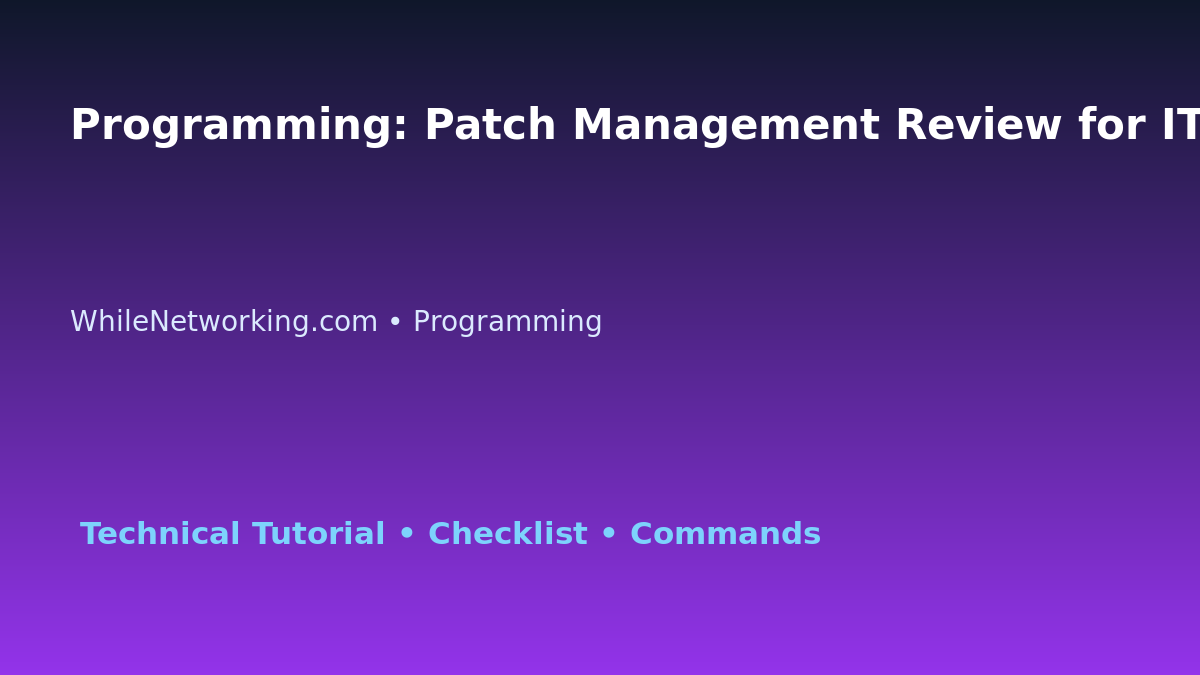 Programming: Patch Management Review for IT Professionals featured image