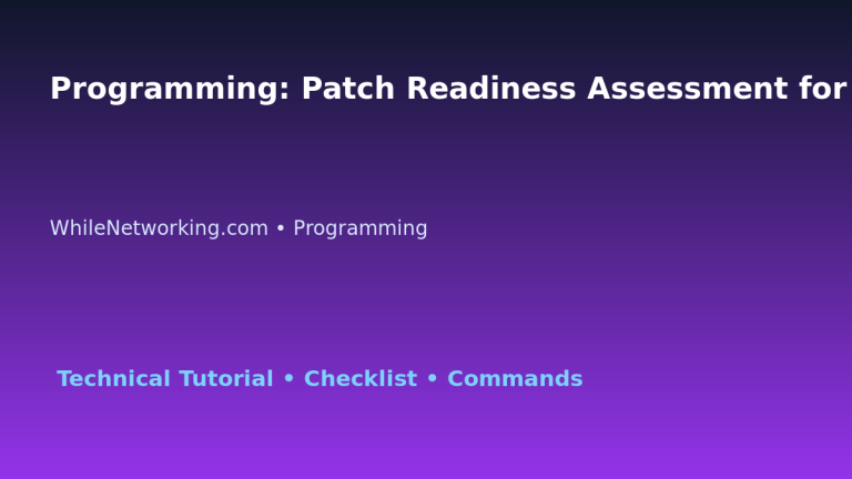 Programming: Patch Readiness Assessment for IT Professionals featured image