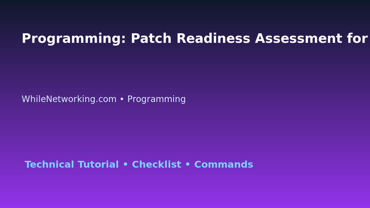 Programming: Patch Readiness Assessment for IT Professionals featured image